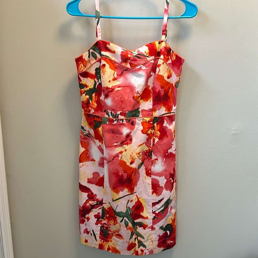 Kristin Davis Floral Print Dress women’s size 4